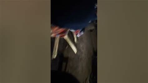 ໄຮໄລ້ 0:00 .